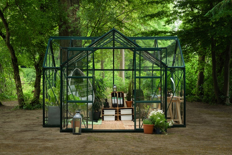 Vitavia Gewächshaus Sirona/Sirius Orangerie inkl. 4 Dachfenstern - 13,0 m² Bild