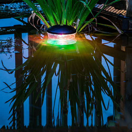 Heissner Pond-Light-Show (L309-00) Bild