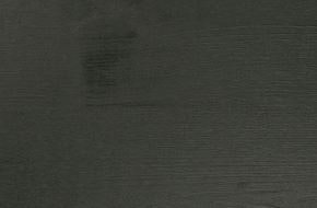 OSMO Sichtblende Rondo - mit Gitter 89x178 cm Anthrazit - Auslaufartikel