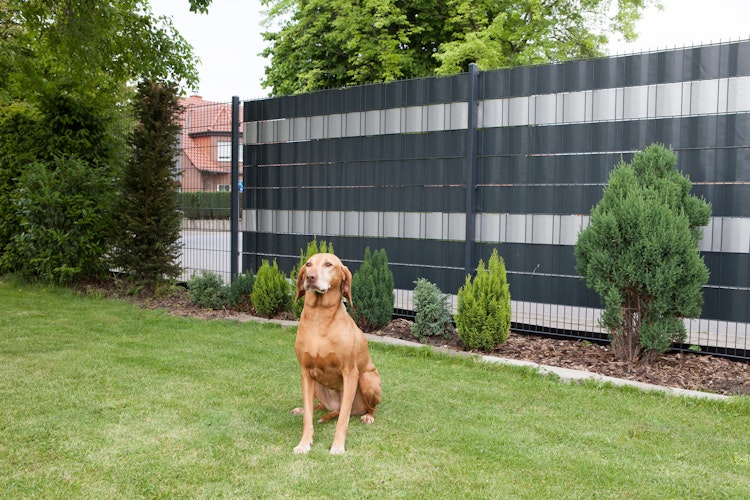 dz Sichtschutzstreifen A1-Blickdicht - 35m Bild