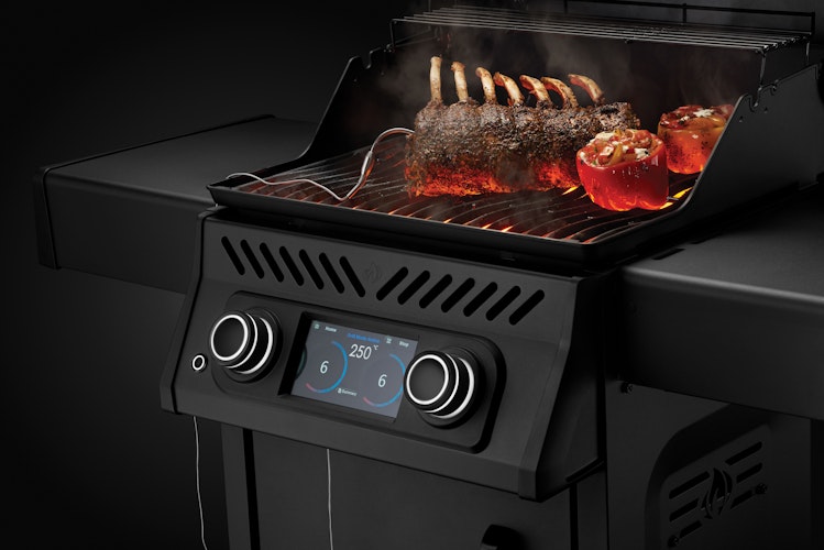 NAPOLEON Elektrogrill Rogue EQ 365, Mattschwarz 