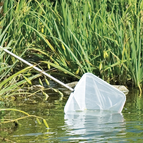 Teichkescher "POND NET 25" (TZ331-00)