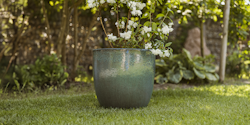 Plant Pot Valio
