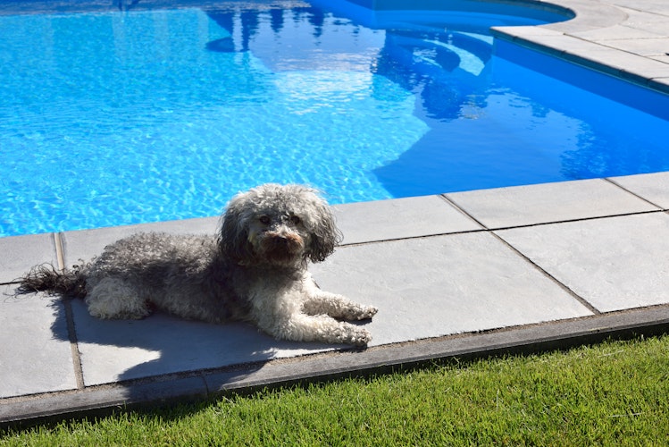 WESERWABEN® Pool- / Beckenrandsteine - Margo