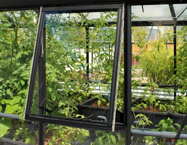 Vitavia Seitenfenster "H" mit Verglasung 3 mm ESG für Helena/Aphrodite