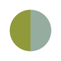 Grün / Minz Varianten Bild