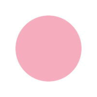 rosa Varianten Bild