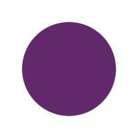 violett Varianten Bild