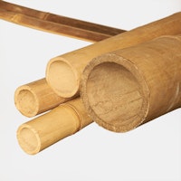 BambusBASIS Bambusrohre