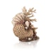biOrb Korallen-Muschel Ornament natural (48360)