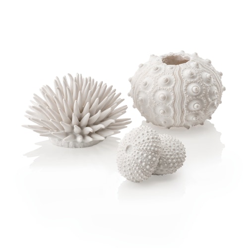 biOrb Seeigel Set weiß (48364)
