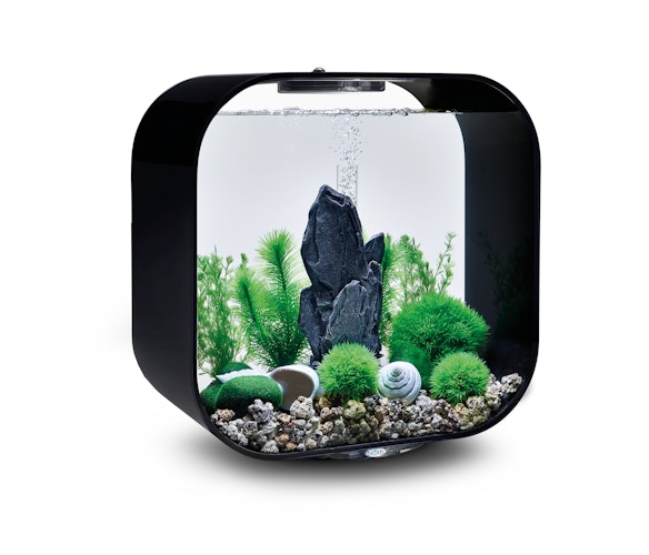 biOrb Decor Set 30L Stone Garden (48445)