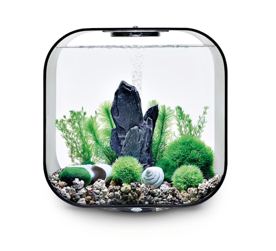 biOrb Decor Set 30L Stone Garden (48445)