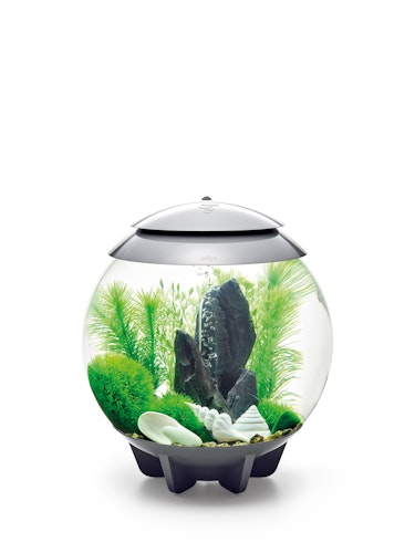 biOrb Decor Set 30L Stone Garden (48445)