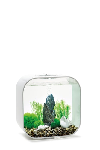 biOrb Decor Set 30L Stone Garden (48445)