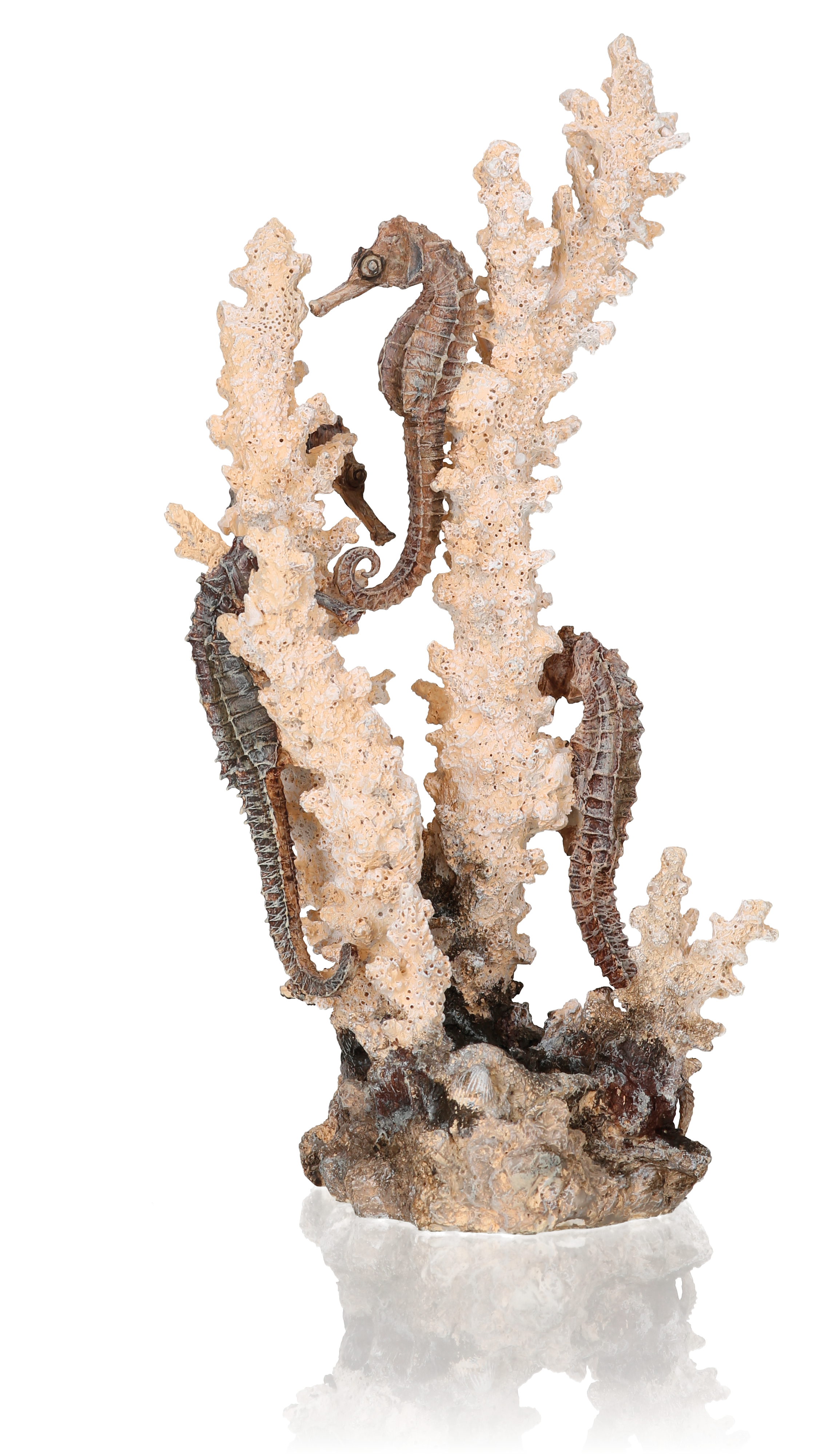 Vorschaubild Galerie biOrb Seepferdchen natur M (55039)