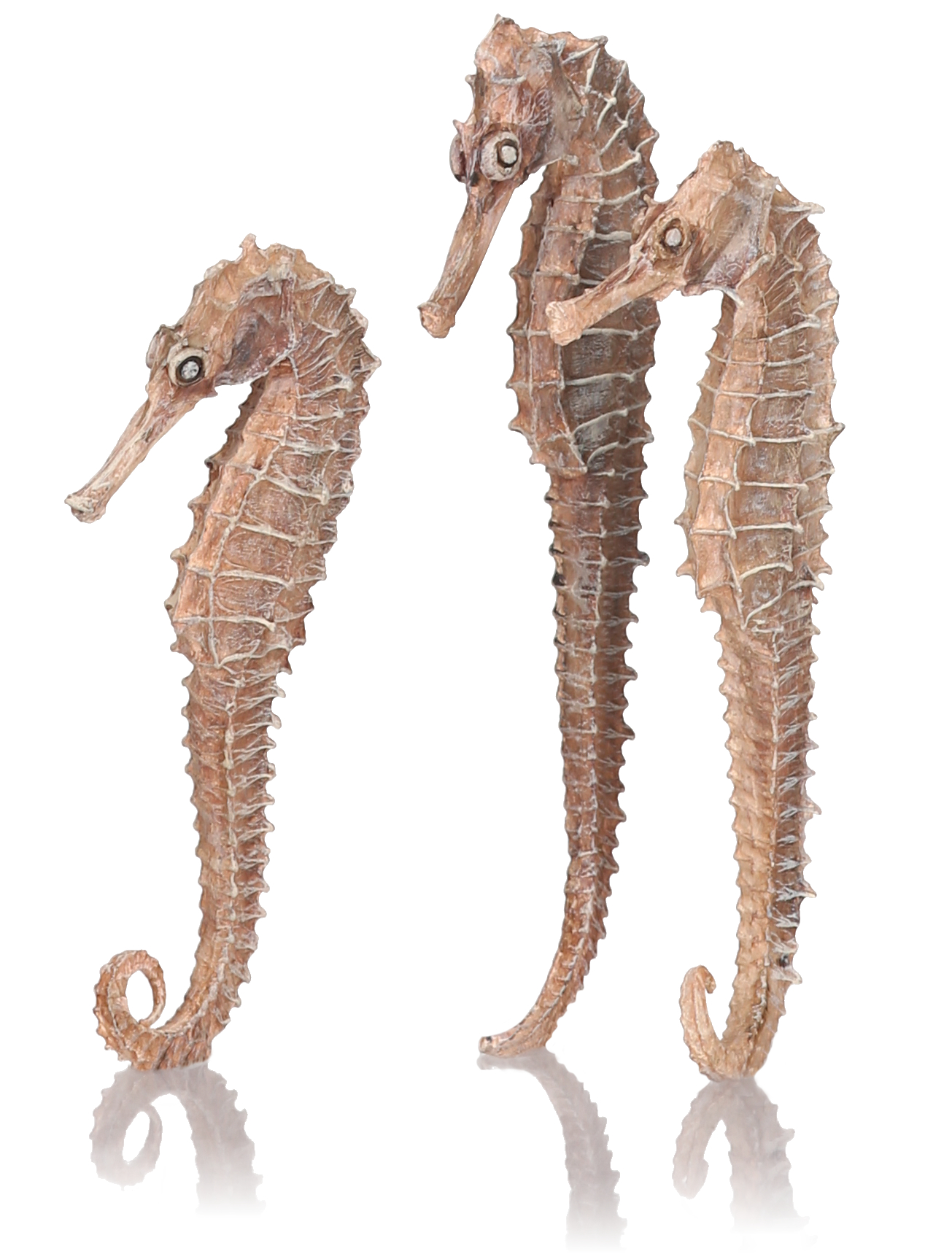 Vorschaubild Galerie biOrb Seepferdchen 3er-Set natur (55063)
