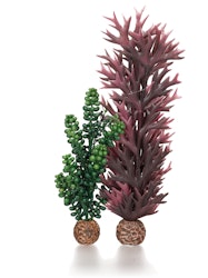 biOrb Seeperlen & Seetang olivgrün (55073)