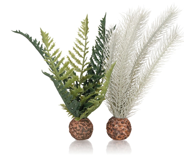 biOrb Farn grau/grün S (55075)