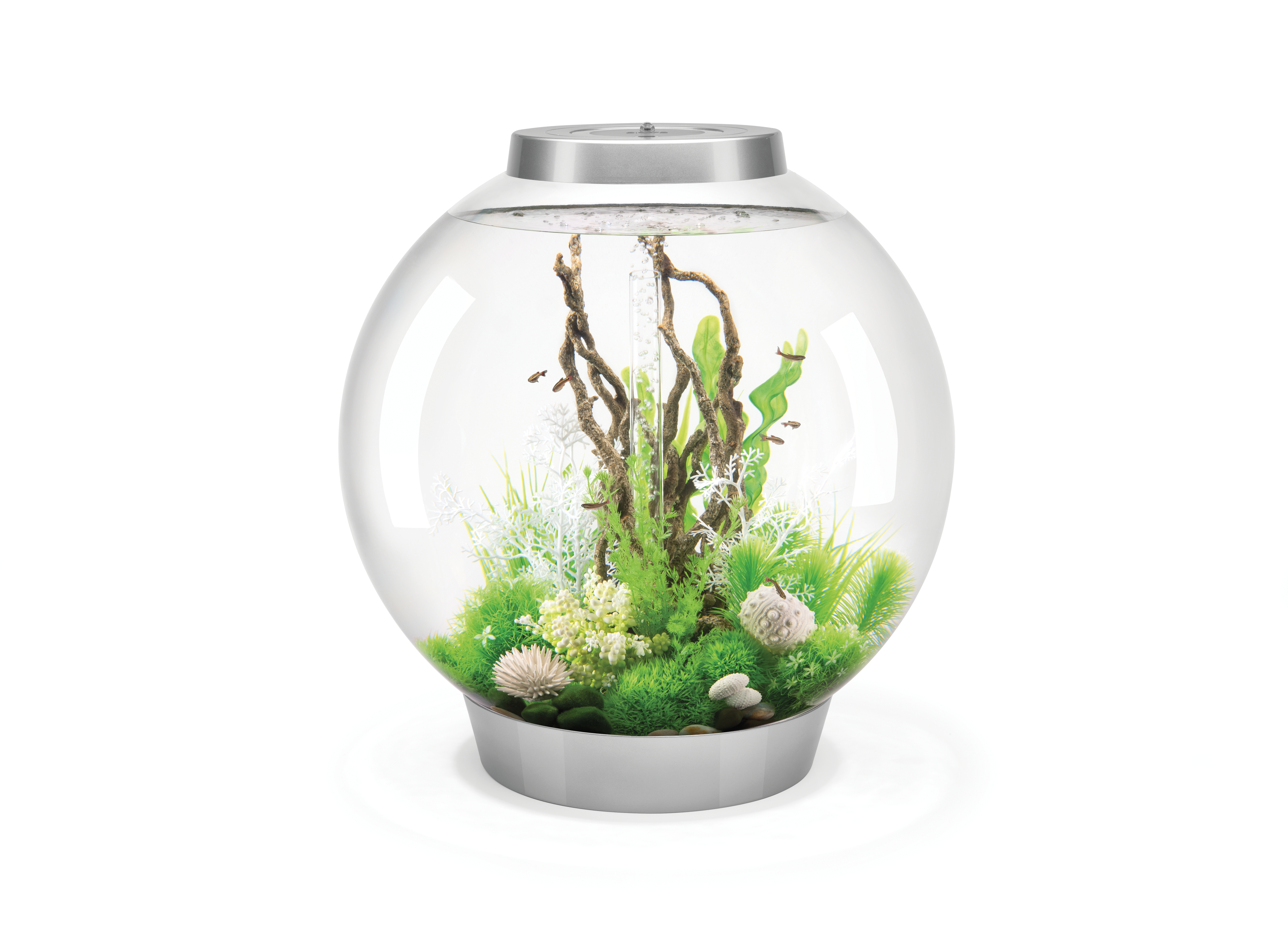 Vorschaubild Galerie biOrb CLASSIC 105 MCR silber (71998)