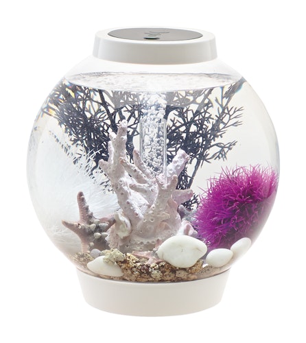 BiOrb Aquarium CLASSIC 15 LED