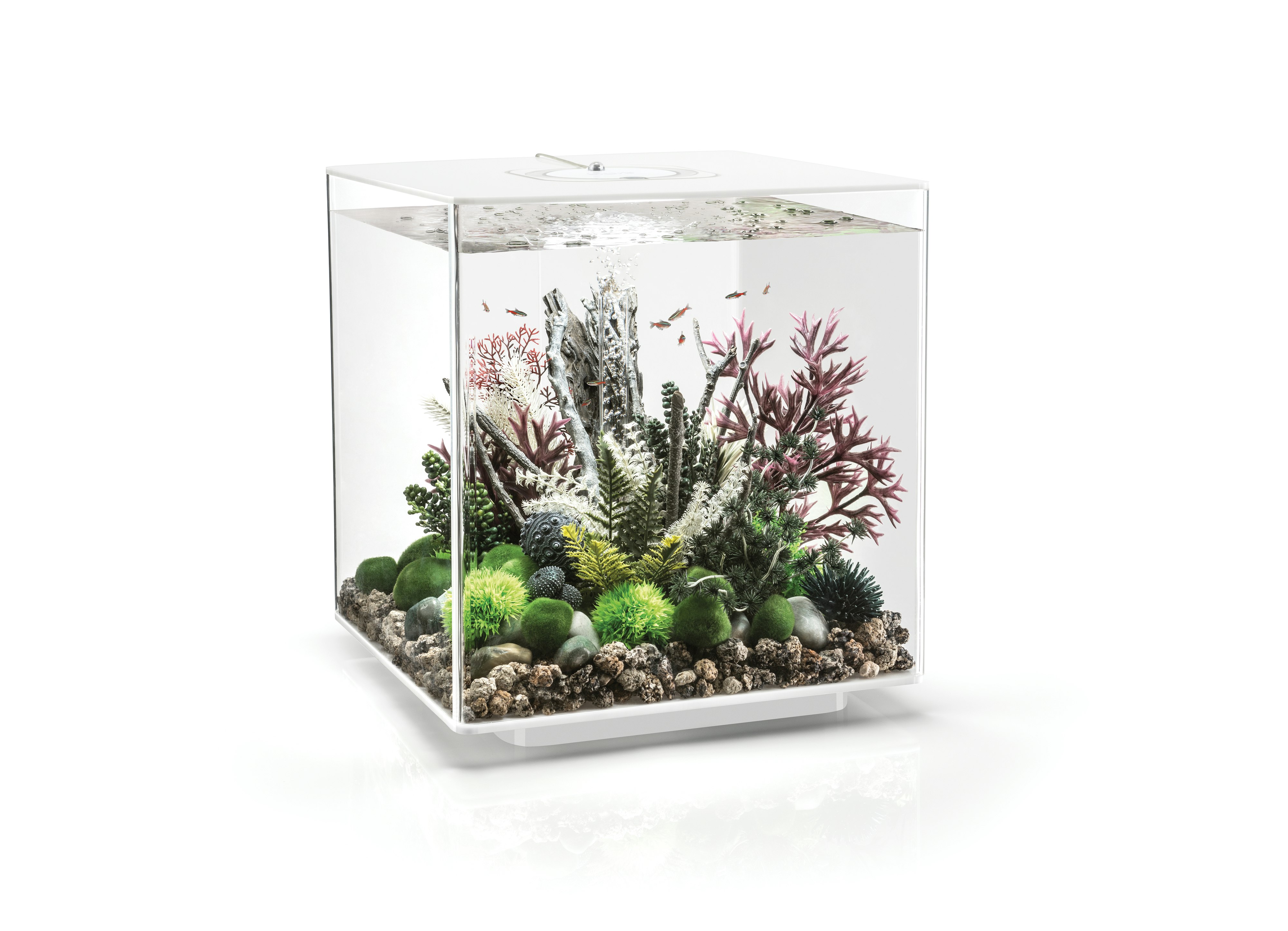BiOrb CUBE 60 LED, versch. Farben