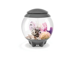 BiOrb Aquarium HALO 15 MCR