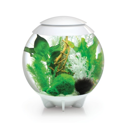 BiOrb Aquarium HALO 30 MCR