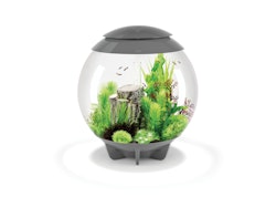 BiOrb Aquarium HALO 60 MCR