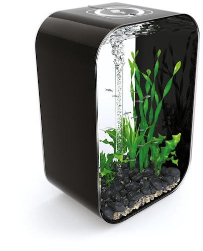 BiOrb Aquarium LIFE 60 MCR