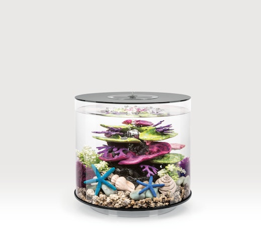 BiOrb Aquarium TUBE 15 MCR