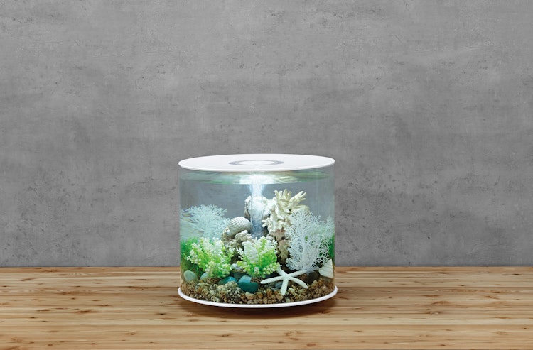 BiOrb Aquarium TUBE 35 LED
