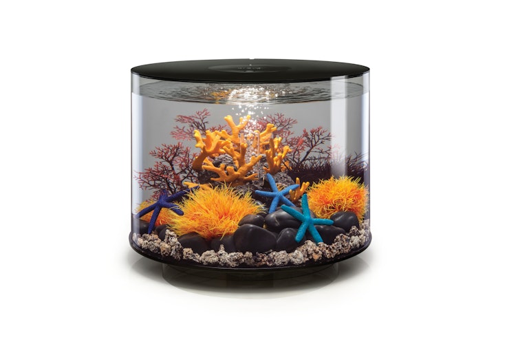 BiOrb Aquarium TUBE 35 MCR