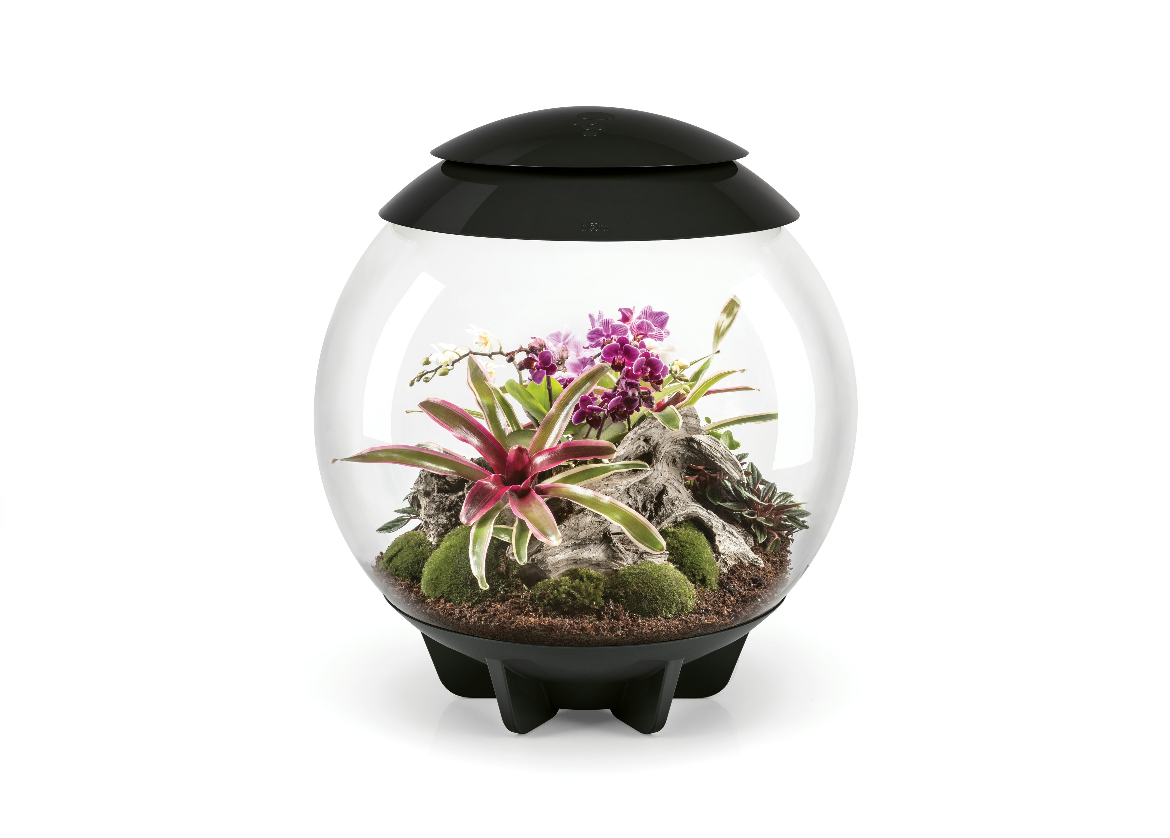 biOrb AIR 60 schwarz (72557)