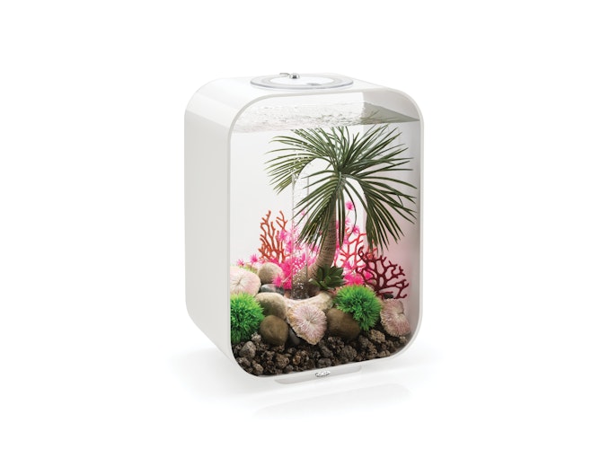 biOrb Plattenkorallen Set (72675)