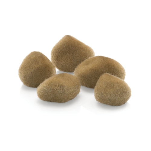 biOrb Sandsteine (72681)