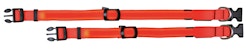 TRIXIE Flash Halsband orange M-L 40-55cm/25mm Hund