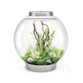 biOrb Aquarien und Terrarien