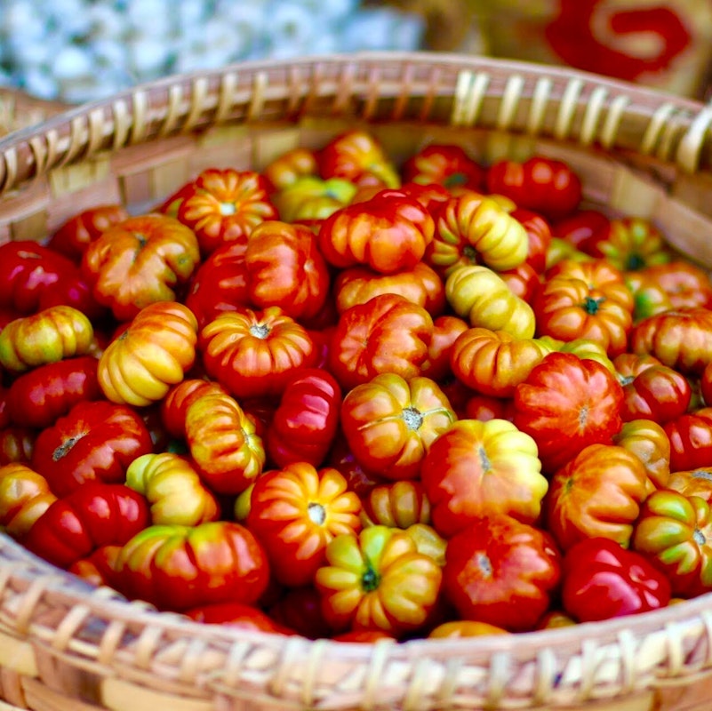Tomaten gibt es vielen verschiedenen Sorten! Tomaten gibt es vielen verschiedenen Sorten!