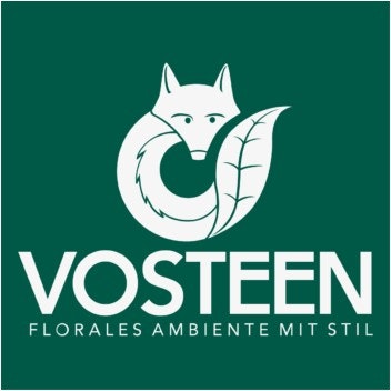 Vosteen Logo