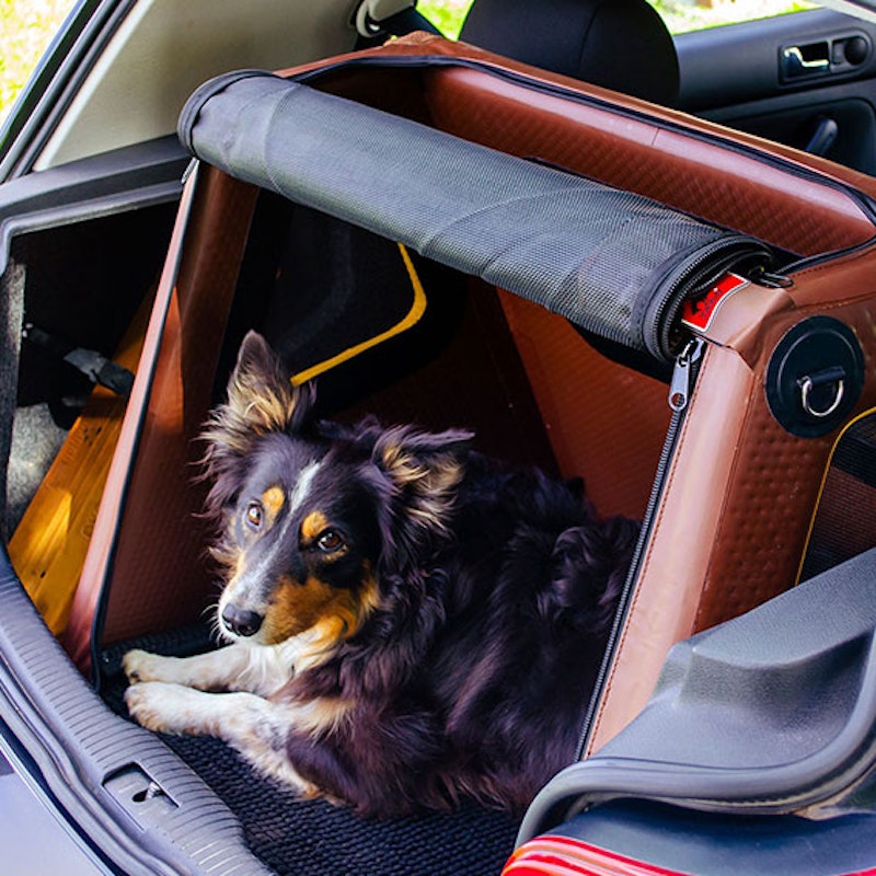 Ein Hund liegt gemütlich in seiner Hundebox im Kofferraum eines Autos und schaut neugierig zu uns herüber.
