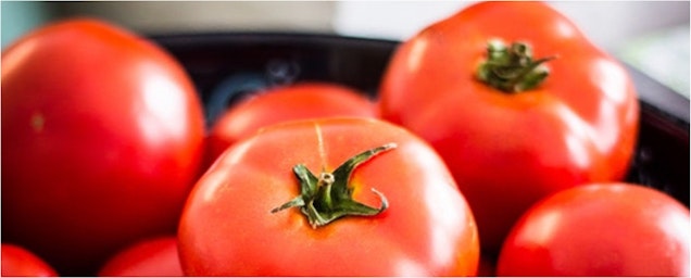 Lecker: Tomaten auf dem Balkon oder im Garten - Bild