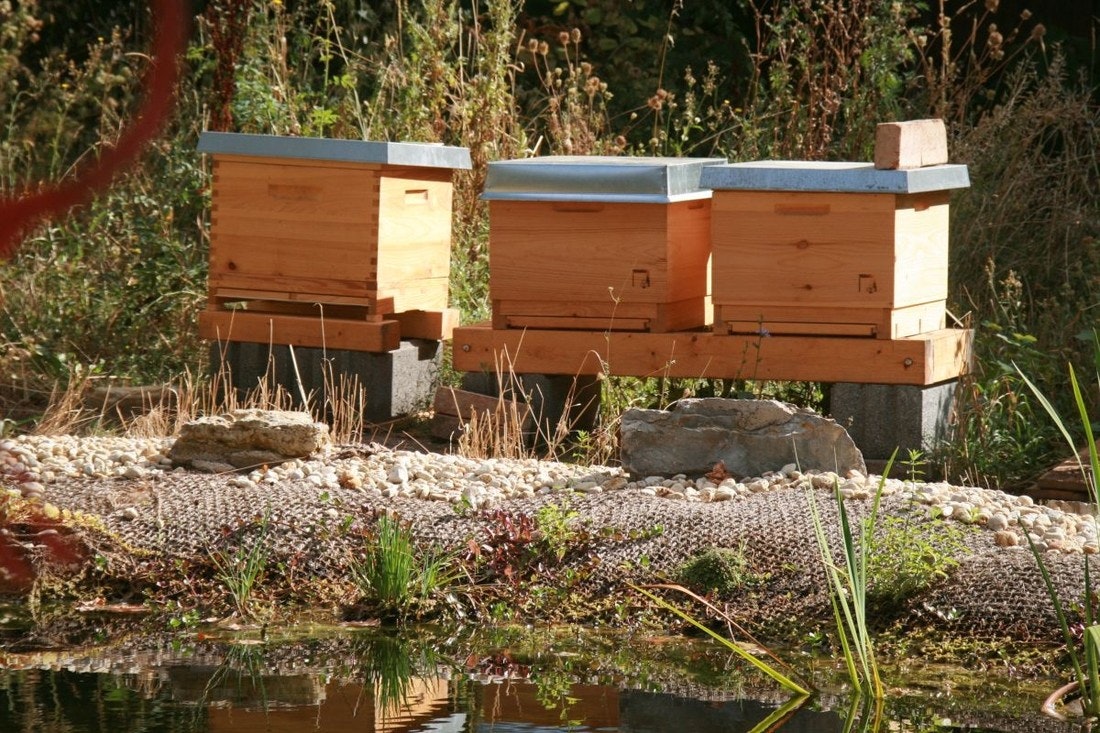 Bienenstöcke am Teichrand