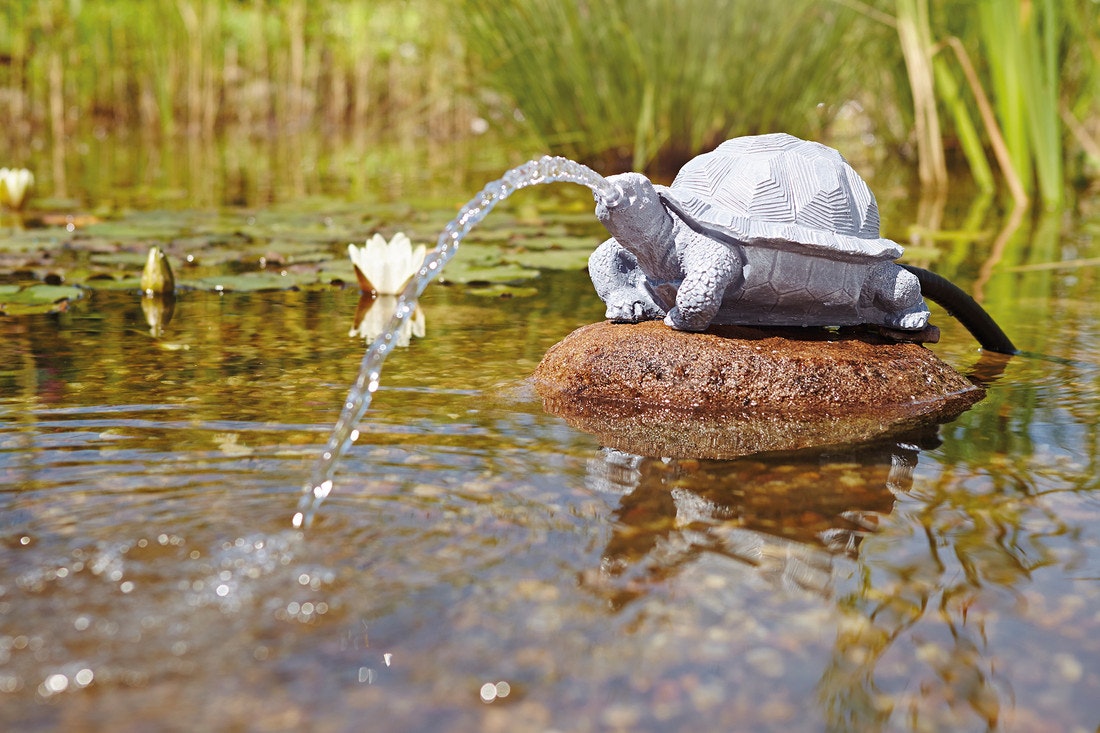 Eine Wasserspeier Schildkröte aus wetterfestem Polyresin mitten in einen teich auf enen stein