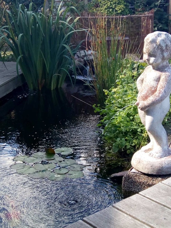 Teich mit Statue