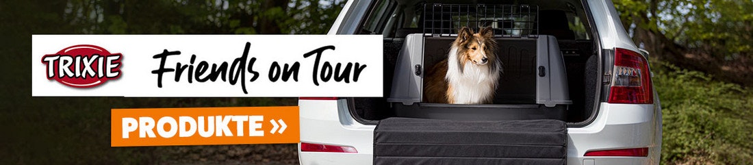 Ein Hund ruht friedlich in einer Transportbox von der MArke TRIXIE Frends on Tour im Kofferraum.