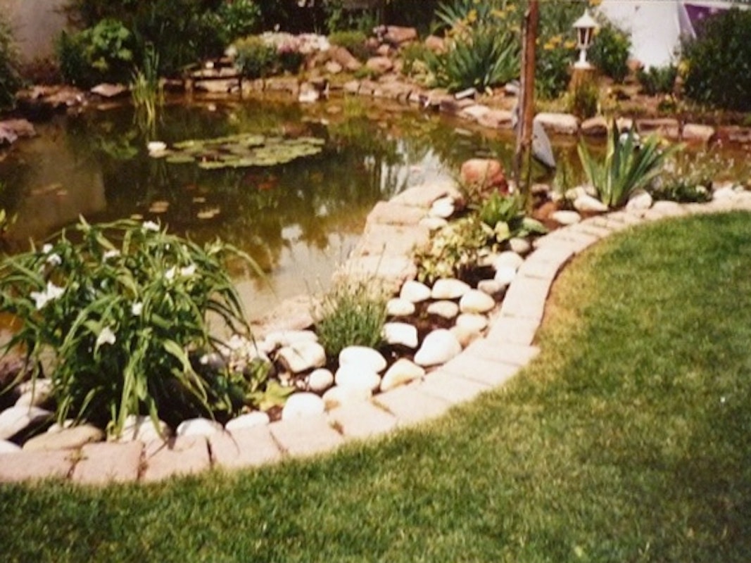 Der Gartenteich kurz nach seiner Fertigstellung 1989