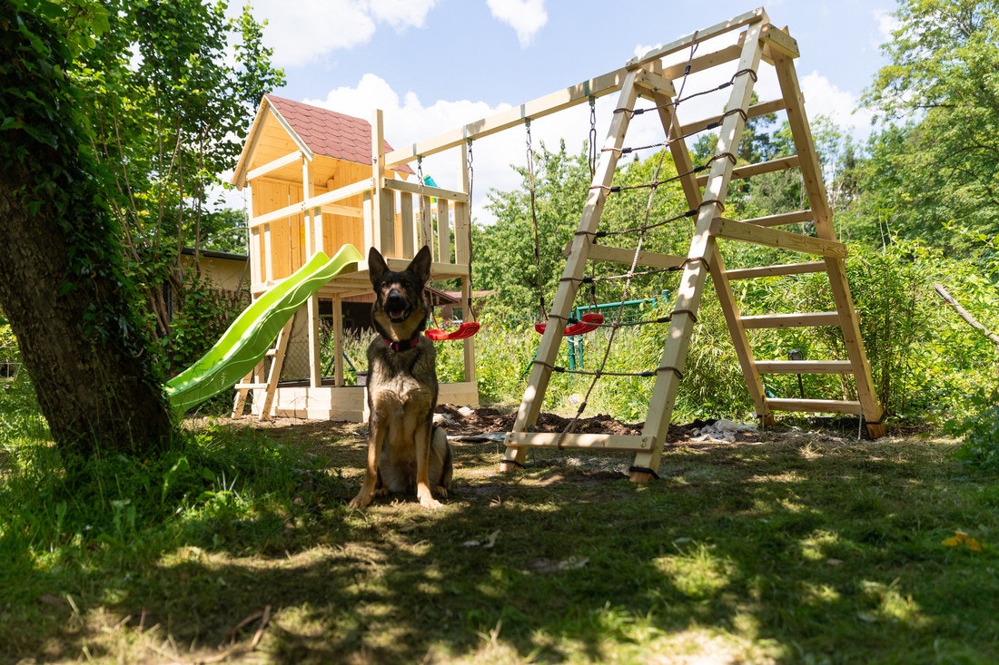 Schäferhund sitzt im Schatten vor einem Spielhaus mit Rutschbahn und Co