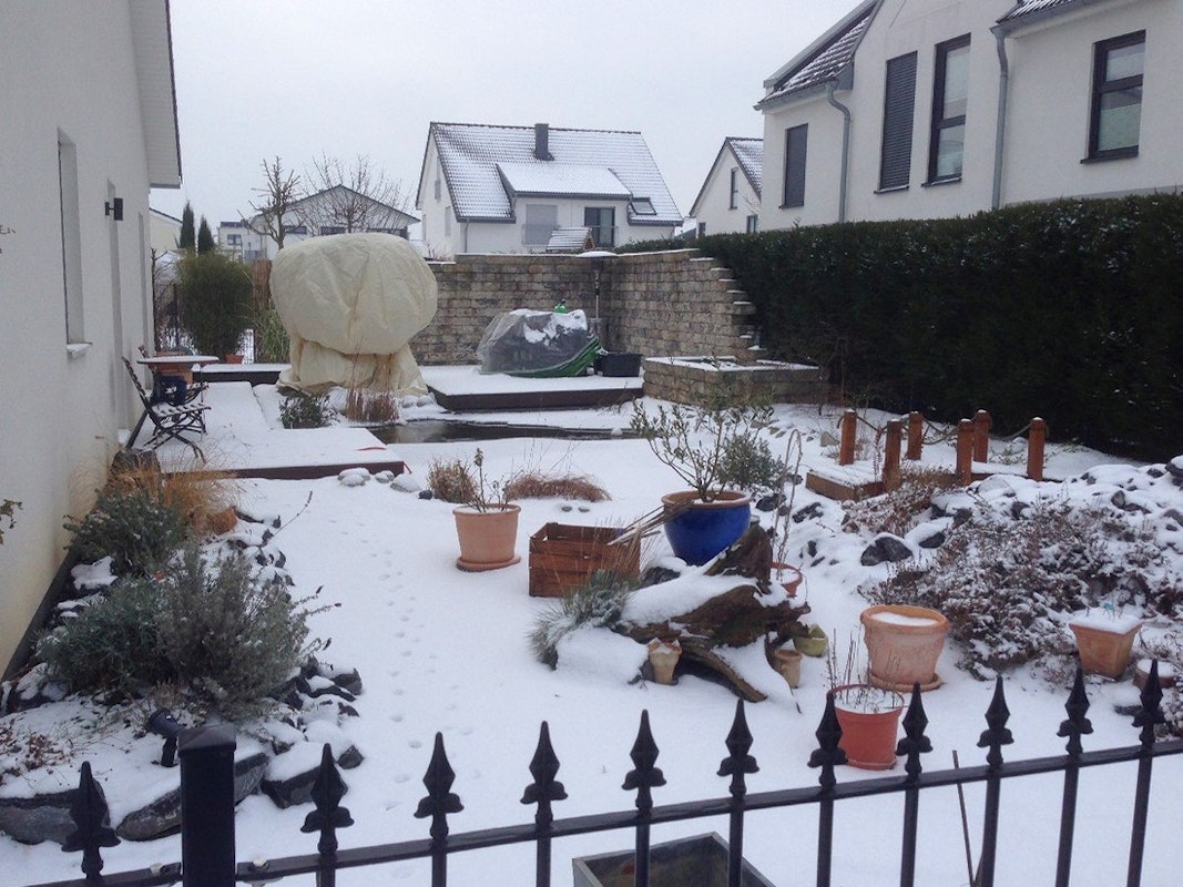 Garten im Winter mit Schneedecke