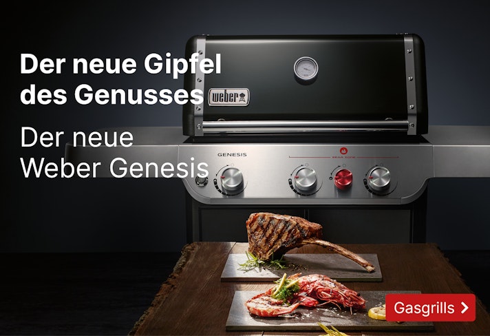 Der Weber Grill Grills De